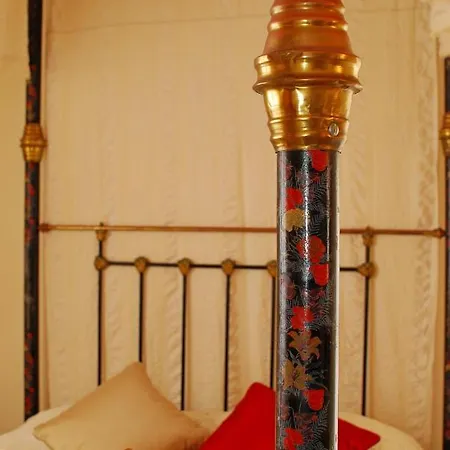 Petroktisto فيلة *