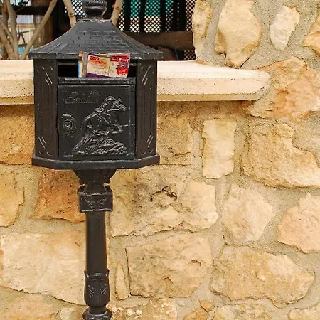 فيلة Petroktisto بوموس